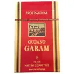 Gudang Garam Professional